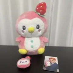JO1 川西拓実 JOCHUMぽぽ ぬいぐるみ - メルカリ