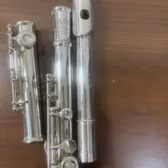 Item thumbnail for item 918d31f7-3966-44d2-8778-844c7a6e4cfd