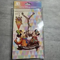 東京ディズニーリゾート ミッキー ミニー バッグチャーム