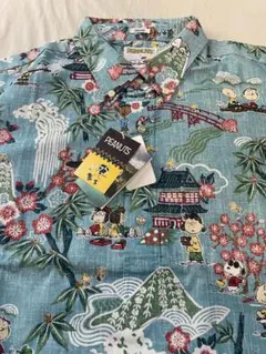 Item thumbnail for item e45d6dcb-d50e-460f-8ba1-dc155f6f94ef