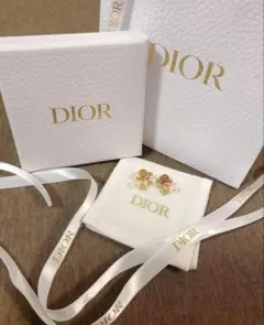 【美品】Dio(r)evolution ピアス 現行品