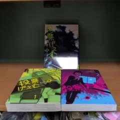 投票げぇむ あなたに黒き一票を 「13巻完結セット」