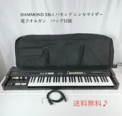 2026年最新】HAMMOND XB-1の人気アイテム - メルカリ