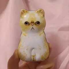 お値下げ KALDI こちらをじっと見つめている猫さんがかわいい 缶ケースのサムネイル