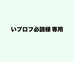 い❥プロフ必読様 専用