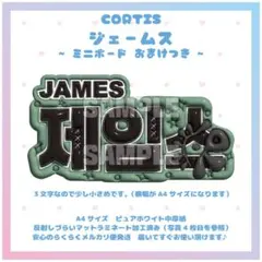 FAM DOME Secondz PASS 布ステッカー - メルカリ