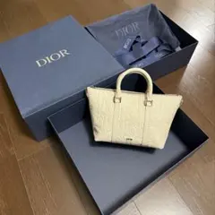 DIOR (ディオール)Weekender 25レザーバッグ