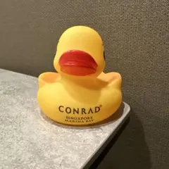 2026年最新】コンラッド アヒルの人気アイテム - メルカリ