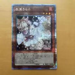 灰流うらら 25th クオシク - メルカリ