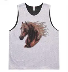 Supreme Mustang Reversible Basketballのサムネイル