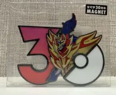 30th マグネット カイリキー 中国ポケモンセンター限定 - メルカリ