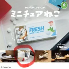猫 カプセルトイ