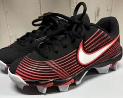 Item thumbnail for item 650d749a-9c86-4b64-94a4-8a78f78f6d81