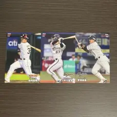 プロ野球チップスカード 2024 千葉ロッテマリーンズ 安田尚憲