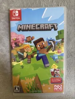 Minecraft Nintendo Switch