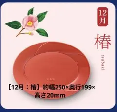 2026金麦花やか皿の大皿１枚 （１２月椿） 楕円皿 プレートのサムネイル
