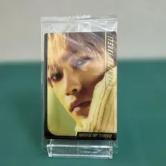 BOTウエハース藤原樹 カード