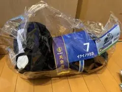 タイトーくじ イクイノックス (A賞)