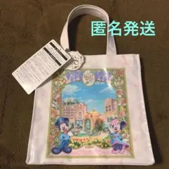 ディズニーシー　ファンタジースプリングスホテル　トートバッグ　ランチケース