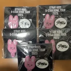 straykids チャンビン 5-STAR DOME TOUR2023