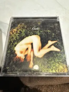 Item thumbnail for item 5e3b24ff-77e4-411e-a10f-57bcc61facf0