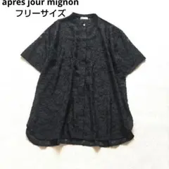 apresjourmignon 黒　レース　ブラウス　Fサイズ　ロング　シアーのサムネイル