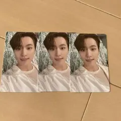 sector17 コンパクトver ディノ トレカ