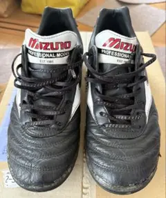 2025年最新】モレリア tf 26.5の人気アイテム - メルカリ