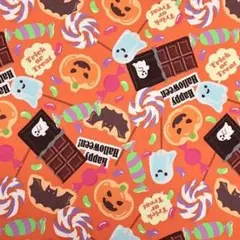 NUNOIRO　スムースニット（ハロウィン / オレンジ）ラスト