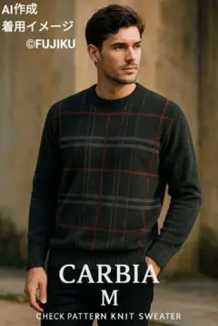 【未使用タグ付】【CARBIA】モール糸 ニットセーター メンズ Mサイズ