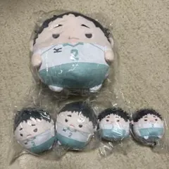 ハイキュー‼︎ ぬいくじ2 ふわコロりん てのりんず 松川一静セット