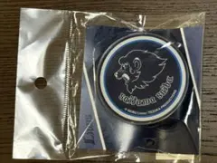 埼玉西武ライオンズのオフィシャルグッズ 繋げるタオルクリップ　レオ