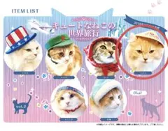고양이, 귀여운 고양이, 세계 여행, 베트남 고양이 헤드 기어
