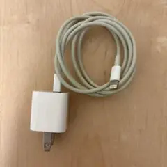 iPhone Type-A 充電器② Lightning アダプター 純正