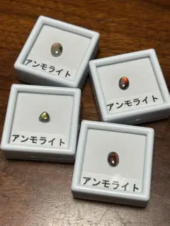 アンモライト ビーズ・アクセサリー
