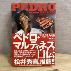 46シリ 2000E-X ペドロ・マルティネス エッセンシャル クレデンシャルズ 2025年最新】ペドロマルティネスの人気アイテム - メルカリ