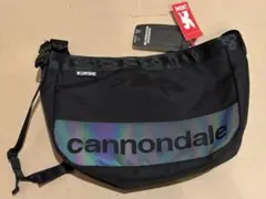 2026年最新】キャノンデール メッセンジャーバッグの人気アイテム