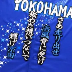 みっちゃん様 リクエスト 3点 まとめ商品