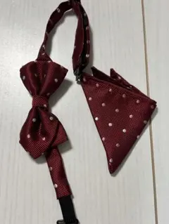 COMME CA ISM バーガンディ ドット ボウタイ セット