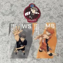 Item thumbnail for item df1b5acb-ba04-4c7f-a799-5e5ac81eb70d