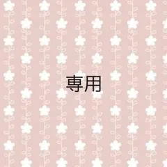 さちにゃん☆様専用