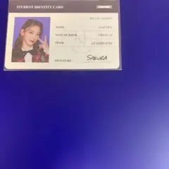 LE SSERAFIM SAKURA サクラ