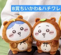 ちいかわ　たぬきだもんくじ　B賞 ちいかわ&ハチワレセット