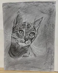 写実鉛筆画 猫A3ケント - メルカリ