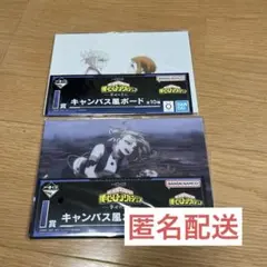 ヒロアカ　1番くじ　I賞　麗日お茶子　トガヒミコ