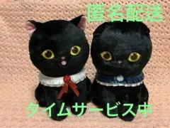 モフサンド　黒仔猫にゃんBIGぬいぐるみ
