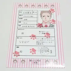 新しい上司はど天然 履歴書クリアファイル 2019年ヤングチャンピオン22号付録