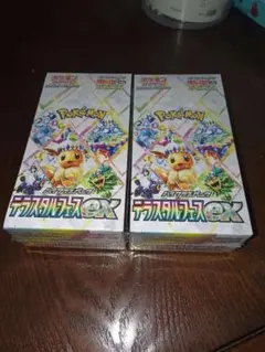 ポケモンカードゲーム テラスタルフェスex未開封BOX✖️2BOX
