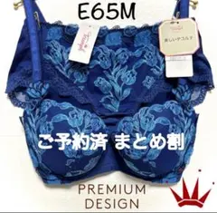 ＊E65M トリンプ レッドレーベル 0099 ブラ＆ショーツ Navy PT