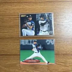 プロ野球チップス 大谷翔平選手 ルーキーカード Amazon.co.jp: 大谷翔平 ルーキーカード プロ野球チップス